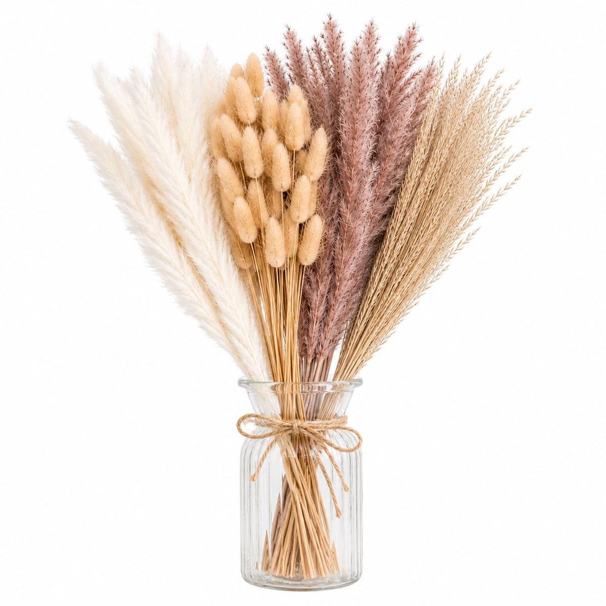 Dried Pampas Grass  100 Stems